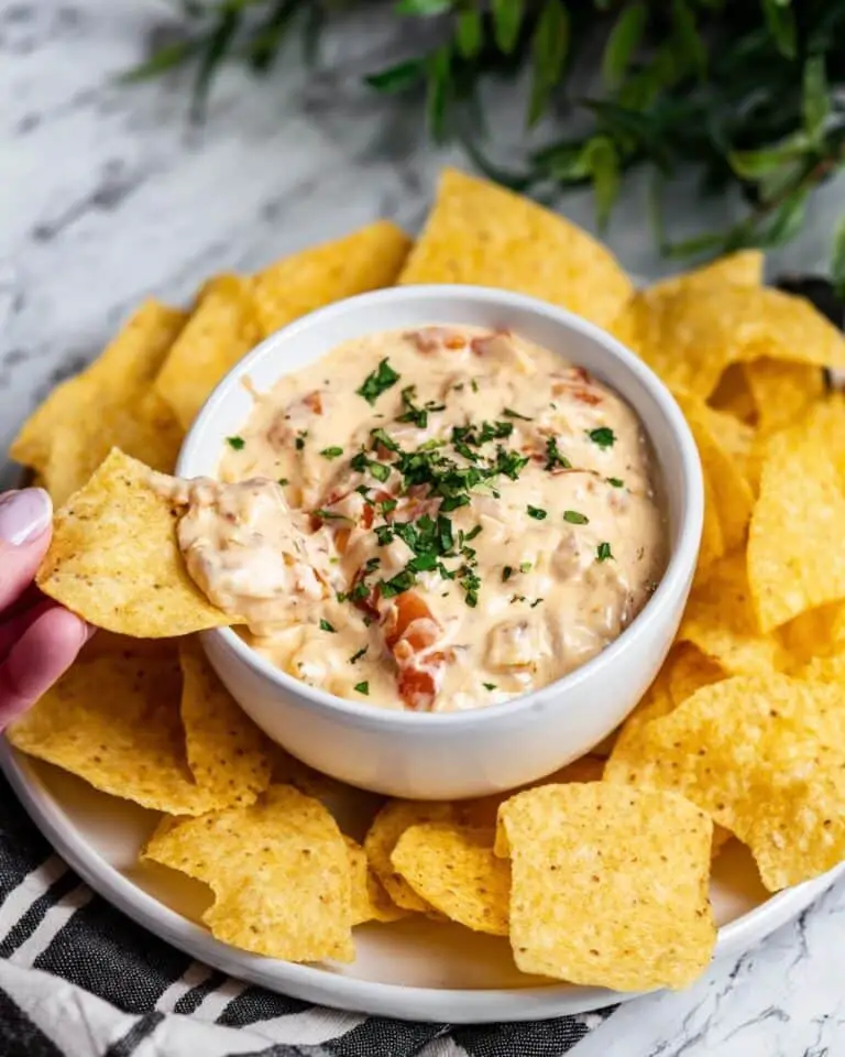 Crockpot Rotel Dip with Velveeta and Ground Beef Recipe