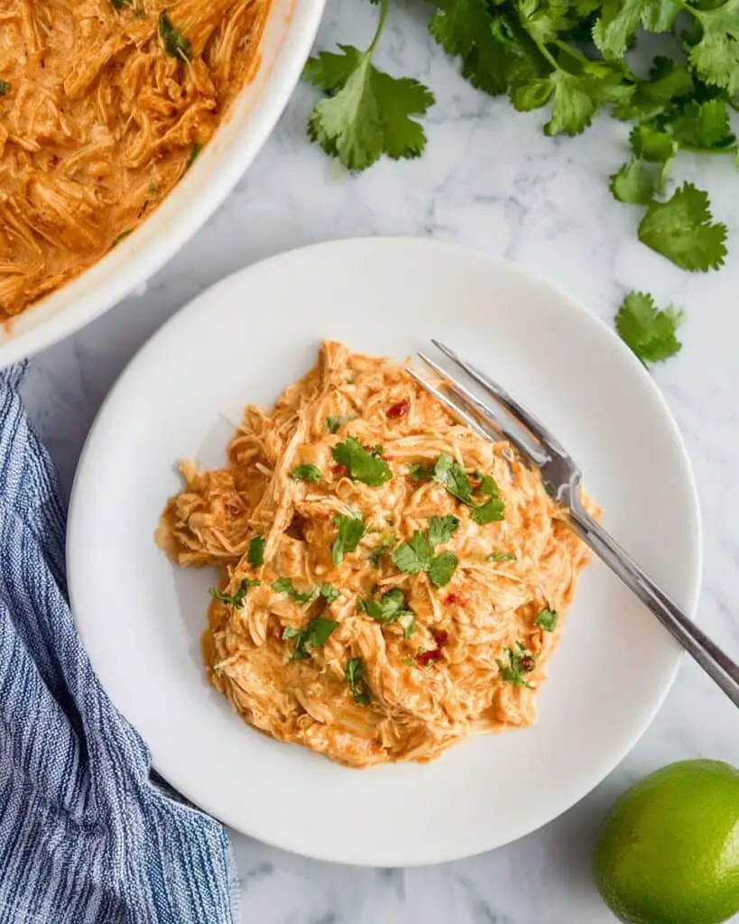 Creamy Crockpot Salsa Chicken Recipe
