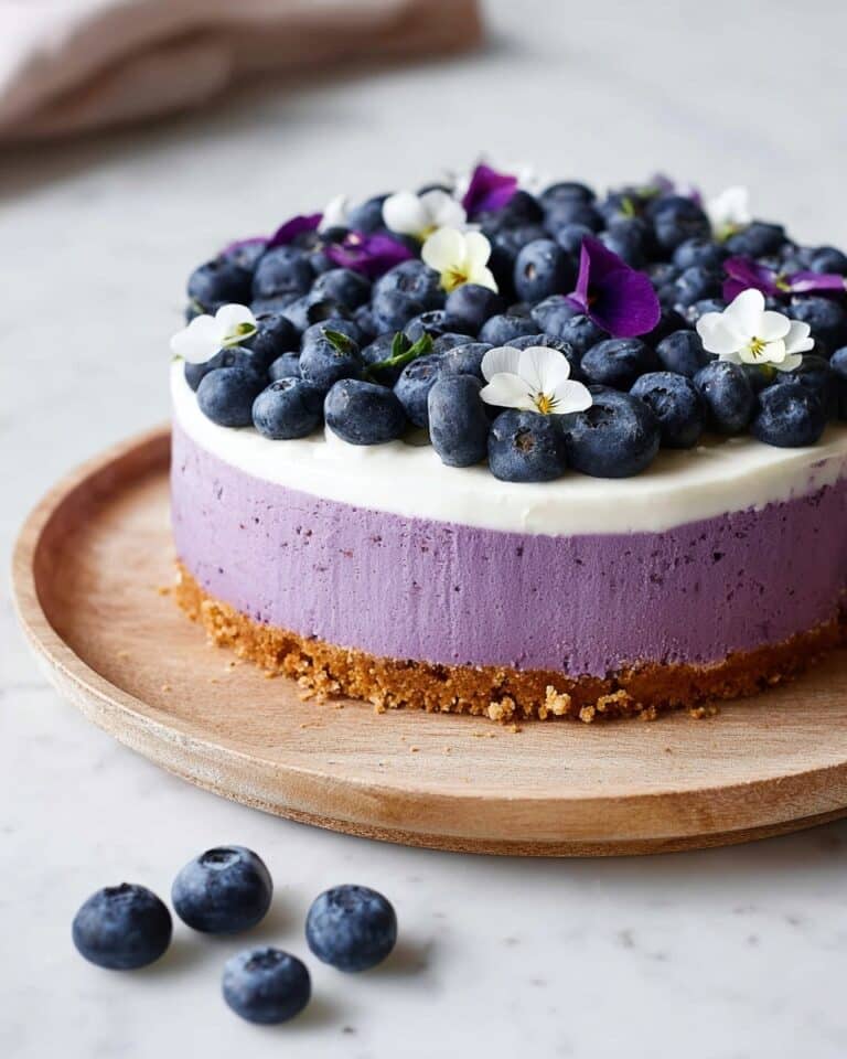 Vegan Blueberry Cheesecake Recipe